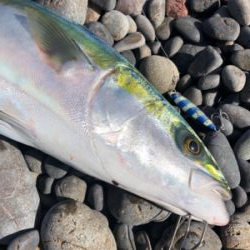 田辺　文里港〜煙樹ヶ浜