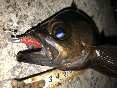 2020ライトゲーム第11戦