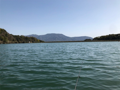 解禁2日目 激シブの桜池