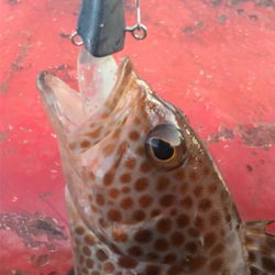 追い風から向かい風へ