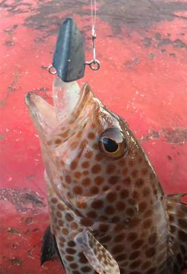 追い風から向かい風へ