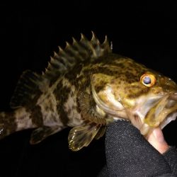 少し渋めのライトゲーム