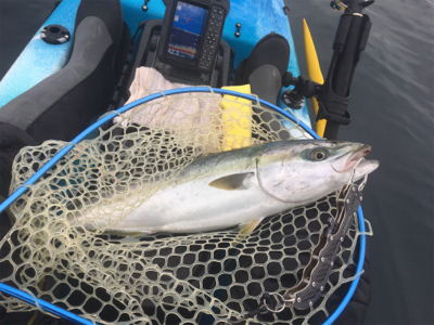 県南でカヤックフィッシング！