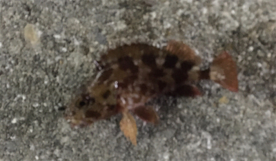 人は多かったですが