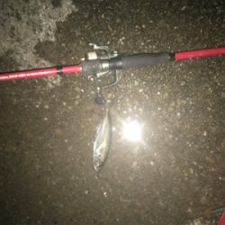 今日も周りばいっぱいアジが釣れてました!