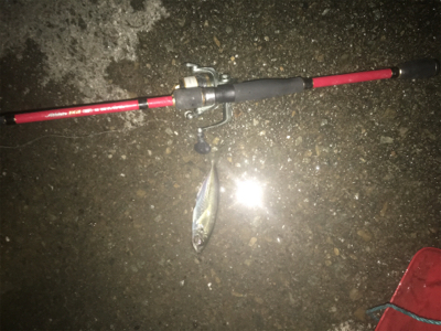 今日も周りばいっぱいアジが釣れてました!