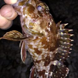 ナイトメバリング