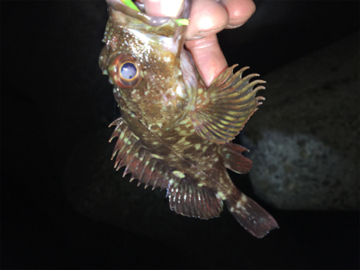 仕事帰りにちょっと