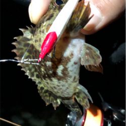 とある深夜のライトロック