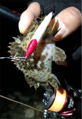 とある深夜のライトロック