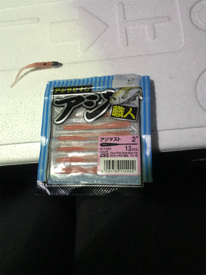 アジングのつもりで