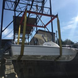 レンタルボードでツバス&サバ