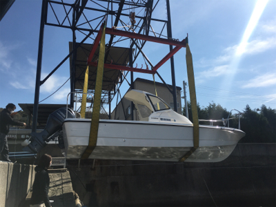 レンタルボードでツバス&サバ