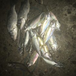 大漁！楽しい1日