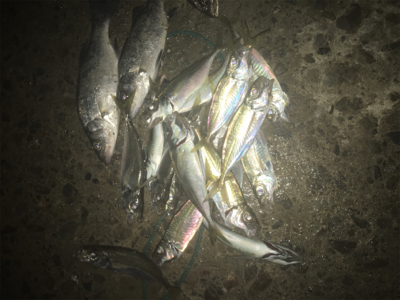 大漁！楽しい1日