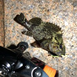 とある雨前のフロートゲーム