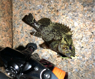 とある雨前のフロートゲーム