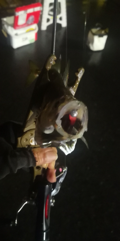 アジング 練習 129