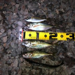 久しぶりの持ち帰り