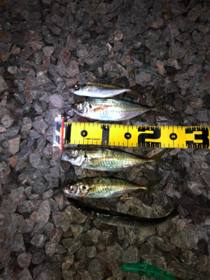 久しぶりの持ち帰り