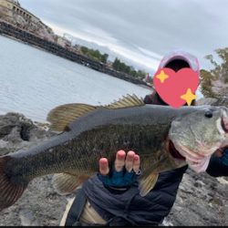 デカバス！春到来！！！