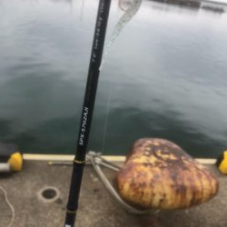 テストのつもりが