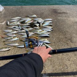 爆風の中の釣り