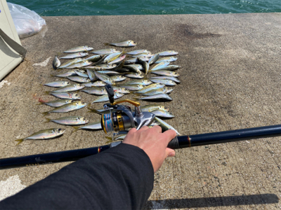 爆風の中の釣り