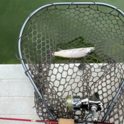 服部緑地　貸し切り状態