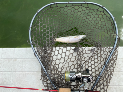 服部緑地　貸し切り状態