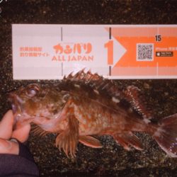 何だかんだライトゲーム楽しいです