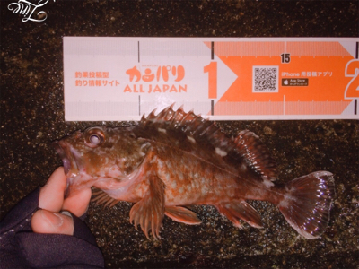 何だかんだライトゲーム楽しいです