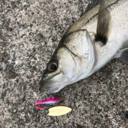 マイクロパターン