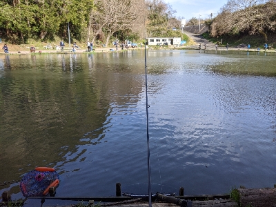 ジョイバレーでロックトラウト