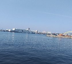 3/18釣果なぎさ公園でチヌ！！