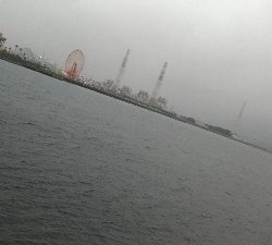 3/28釣果和歌山マリーナシティ名物ガシラ