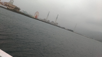 3/28釣果和歌山マリーナシティ名物ガシラ