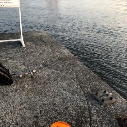 南港大橋 アジ激渋