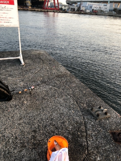 南港大橋 アジ激渋