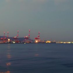 神戸ボートメバリングにて