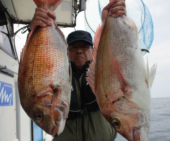 浜田釣舟　真鯛釣り