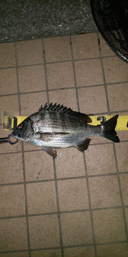 アタリ多数　～潮見運動公園～