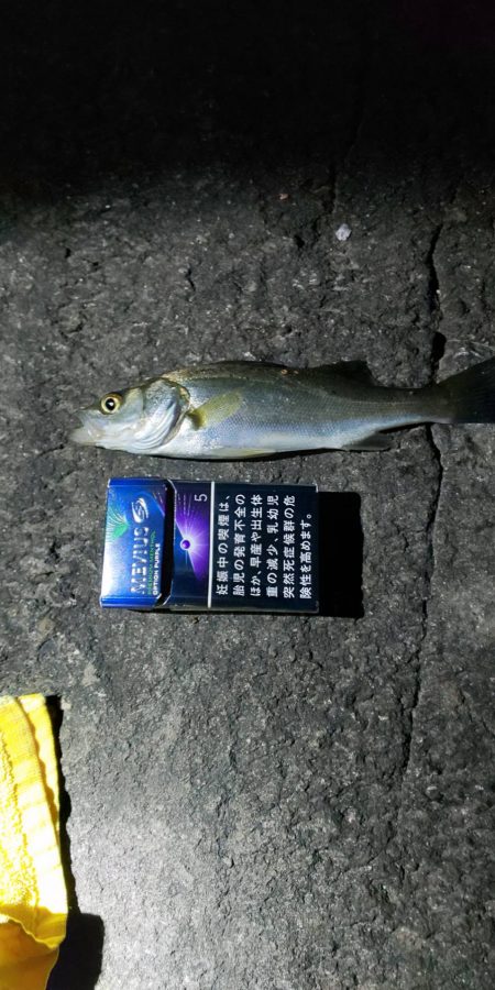 久々の夜釣り　～若洲海浜公園～