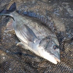 風がやむのを見込んで　～さざなみ公園～