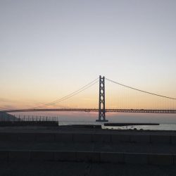 チヌフカセ釣り