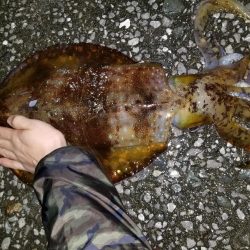 あと少しで(-_-;)