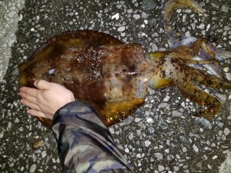 あと少しで(-_-;)