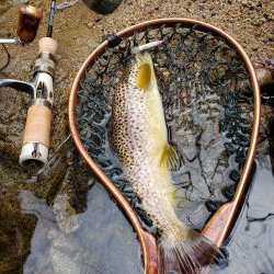 雨上がり活性高し！