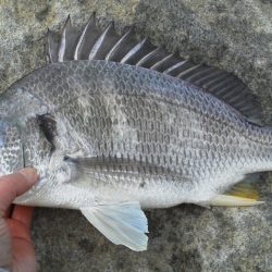 今行ってきました