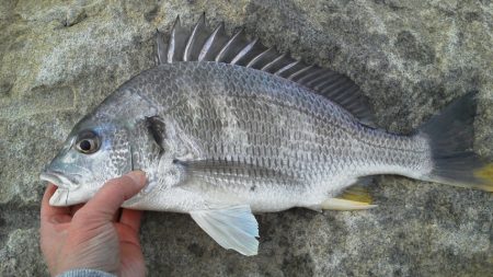 今行ってきました